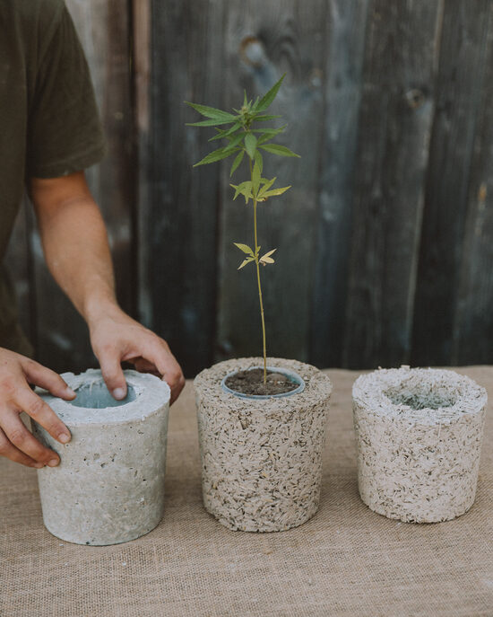 Hempcrete Plant Pot